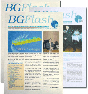 BGFlash